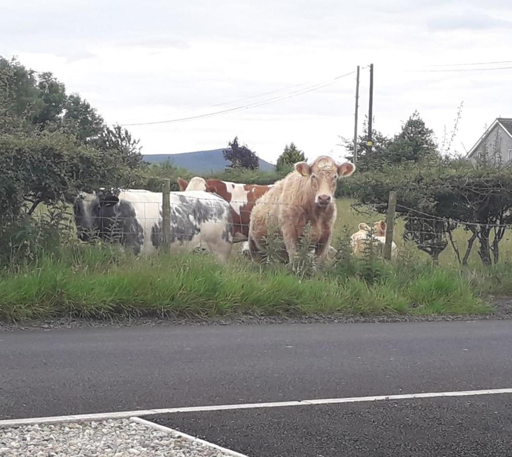 Mountain View Cottage Limavady Luaran gambar